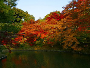 Koudaiji1